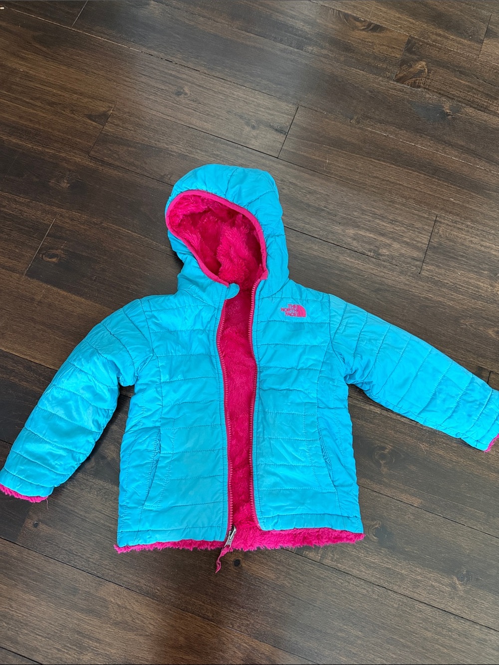 The North Face Turquoise Puffer Jacket with Pink Sherpa Lining